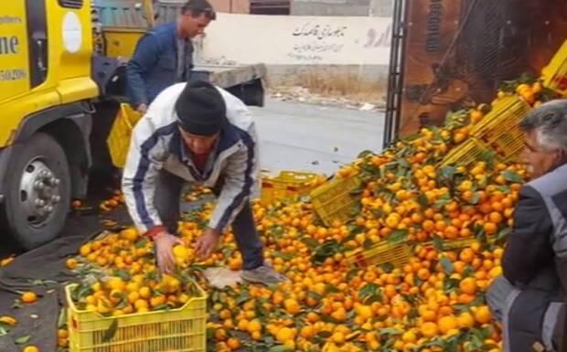 فیلم/ واژگونی کامیون حامل مرکبات در فیروزکوه