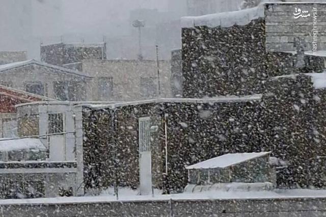 عکس/ بارش برف پاییزی در تویسرکان