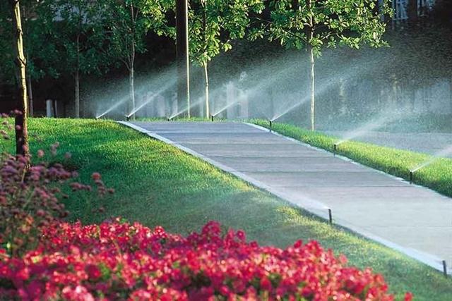 فضای سبز در کرمان سرمایهگذاری برای سلامت روان؛ کمبود آن نشت روانشناختی در شهروندان را تشدید میکند