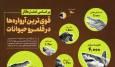 کدام حیوانات آرواره‌های قوی‌تری دارند؟(+اینفوگرافیک)