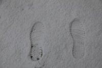 باران در دشت، برف در کوهستان های قزوین