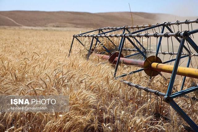 کشاورزی حفاظتی، راهی برای مقابله با تغییرات اقلیمی و حفظ امنیت غذایی در زنجان