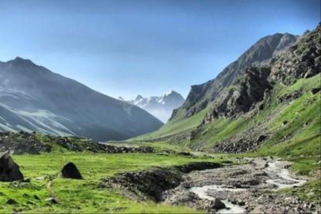 چالش‌های حفاظت از محیط طبیعی و گونه‌های گیاهی نادر در مناطق حفاظت‌شده الوند