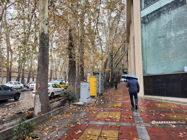 هشدار زرد و نارنجی برای این استان ها | تداوم بارش ها تا یکشنبه