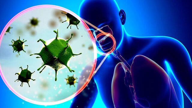 ببینید | اگر آنفلوانزا گرفتید، این توصیهها را جدی بگیرید