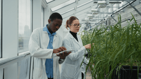 Russia offers cutting-edge agricultural education to students from all over the world