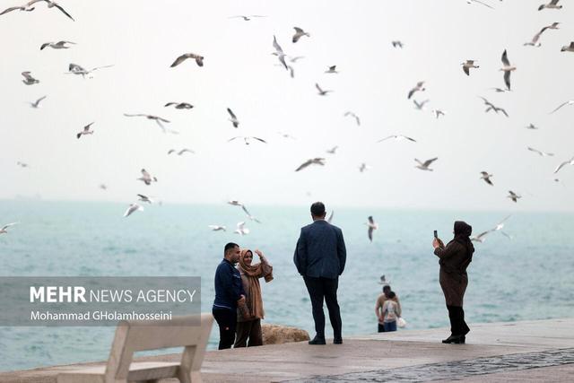 بارش باران پاییزی در بوشهر