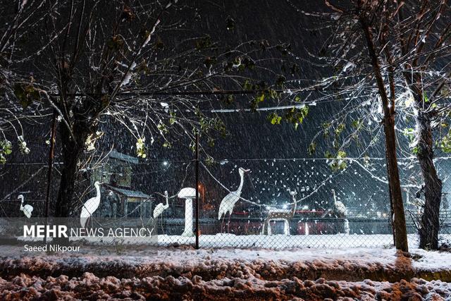 بارش برف در اشکورات رودسر آغاز شد