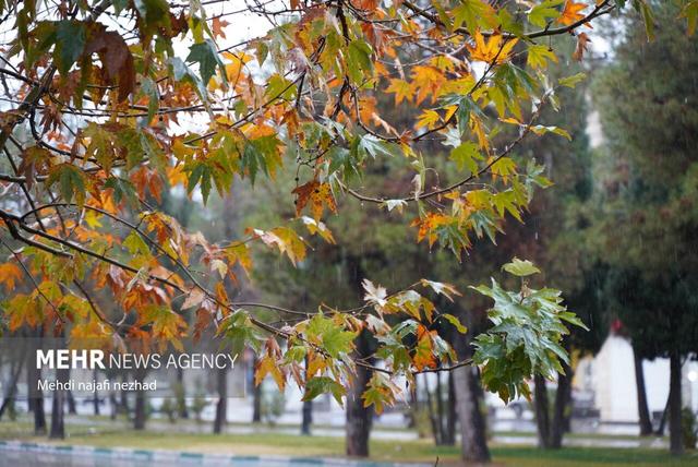 حکمی: هفته پربارشی برای خراسان رضوی پیش بینی شده است