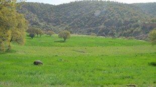 رفع تصرف یک هزار و ۵۰۰ مترمربع از اراضی ملی در شهرستان نور