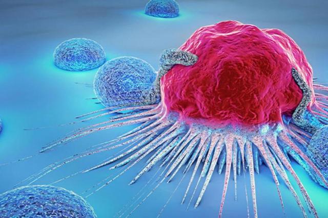 پیش‌بینی 2 برابری ابتلا به سرطان تا 2050