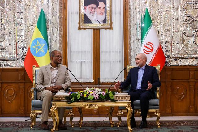 تأکید رؤسای مجالس ایران و اتیوپی بر توسعه روابط تجاری با استفاده از بریکس