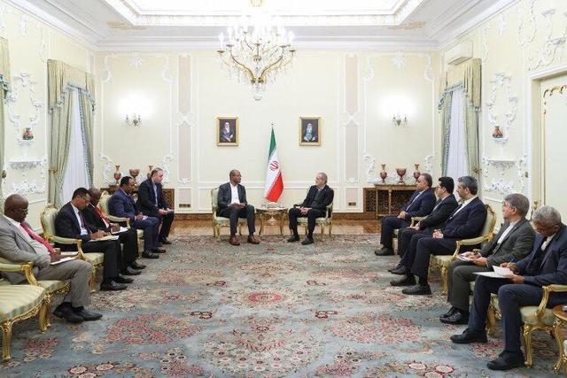 بریکس میتواند الگوی ارتباطی نوینی برای تقویت همکاریهای کشورهای عضو ارائه دهد