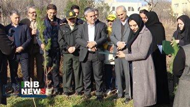 پویش درختکاری "زیر سایه مادر" با هدف تکریم از مادران