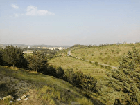 پویش نهالکاری در سایه مادر در تهران و ۴۰۰ منطقه کشور