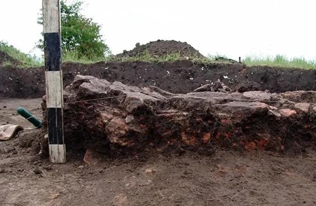 کشف گاوی کوچک با قدمت ۶۰۰۰ سال در اوکراین