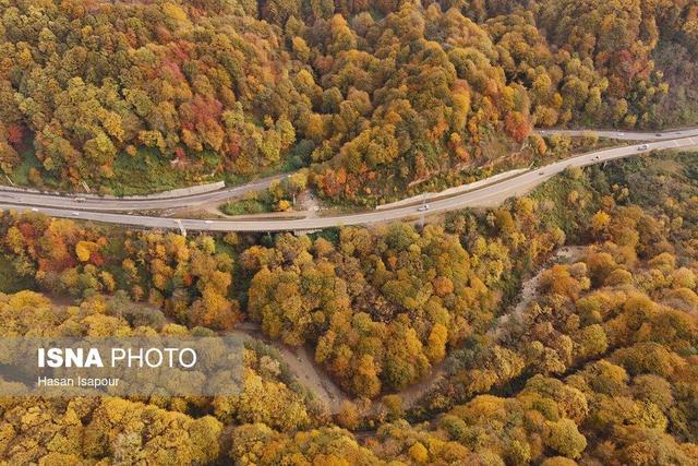 دانش‌آموخته دکترای محیط زیست: جنگل‌زدایی و رمه‌گردانی، دو تیغه قیچی بر گلوی بارندگی است