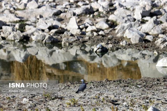 رییس محیط زیست شهرستان: بارش‌ها خوب باشد، سراب‌های کرمانشاه از دی ماه احیا خواهند شد