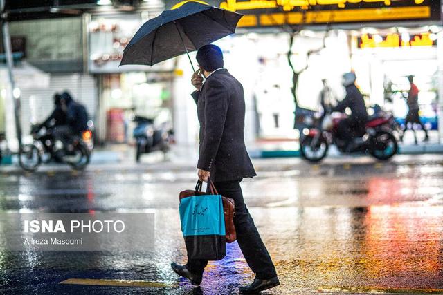 باد و باران در نقاط مختلف تهران