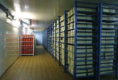 ایجاد ۲.۷ میلیون تن ظرفیت جذب مواد خام کشاورزی در البرز