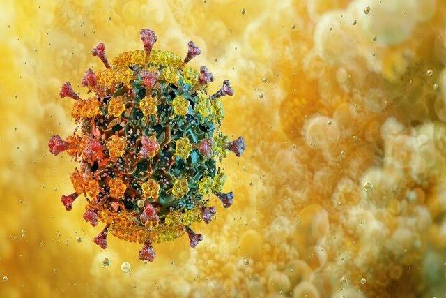 ثبت پنجمین فوتی قطعی آنفلوآنزا در هرمزگان