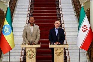 فرصت‌های زیادی برای توسعه روابط میان ایران و اتیوپی جود دارد