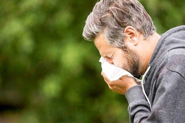 باد پاییزی ذرات آلرژی را در هوا پخش می‌کند؛ مراقب ریه‌ها باشید
