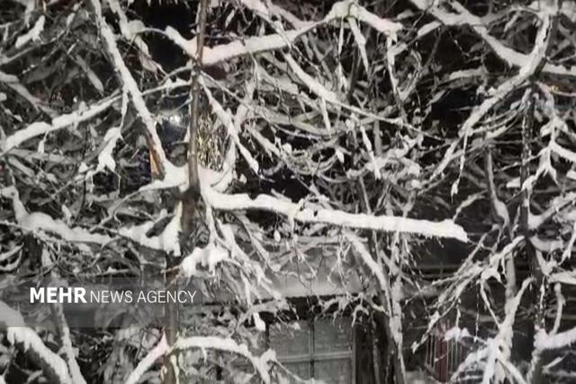 بارش برف در روستای «شکرتو» شهرستان فریمان