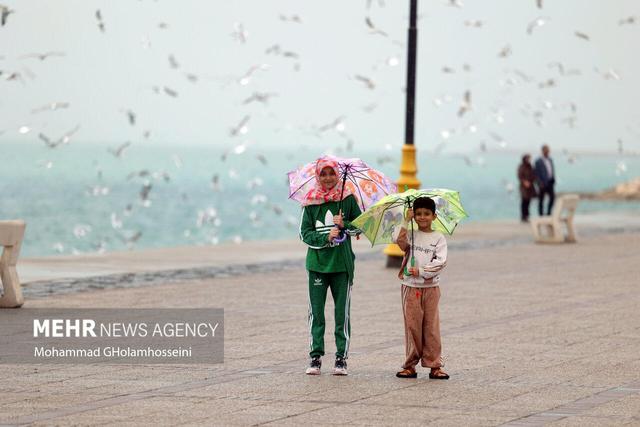 جزئیات فعالیت سامانه بارشی اخیر در استان بوشهر