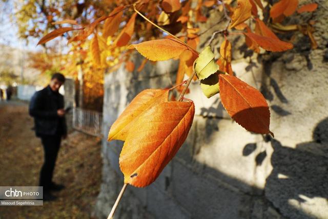 پاییز در روستای ترب در آذربایجان شرقی