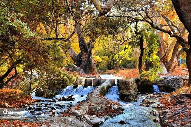 پاییز زیبای نهاوند، شهر سراب‌های جوشان