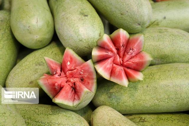 هندوانه میناب زینتبخش سفره یلدایی ایرانیان/تامین نیاز بازارهای داخلی و صادرات