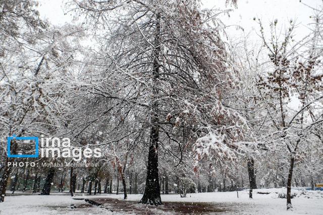 شهردار آستارا: آمادگی کامل برای بارش برف و باران را داریم