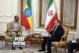 دیدار رئیس مجلس نمایندگان اتیوپی با عراقچی