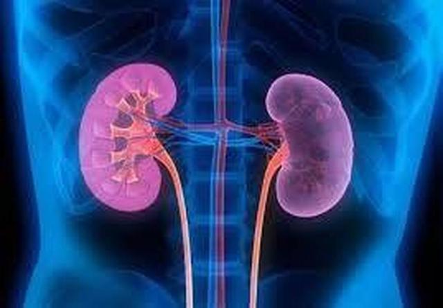 چگونه هوای کلیه‌ها را داشته باشیم