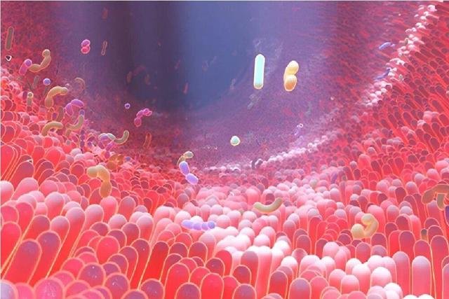 ماده مغذی رایجی که رودههای ما را به کارخانههای شیمیایی مبارزه با دیابت تبدیل میکند