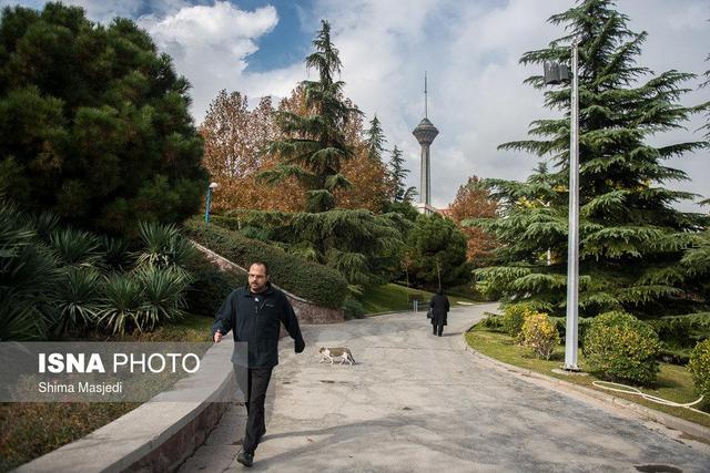 هوای تهران در وضعیت مطلوب