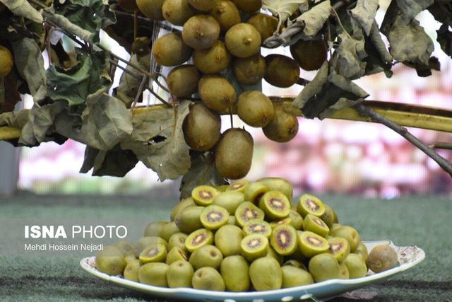 با مصرف «کیوی» خواب آرامتری داشته باشید