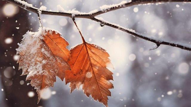 شروع بارشها از اواخر هفته جاری در همدان