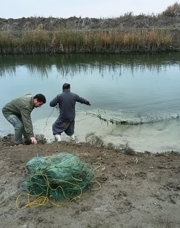۳ مورد تخلف شکار و صید غیرمجاز در مناطق مختلف استان اردبیل خنثی شد