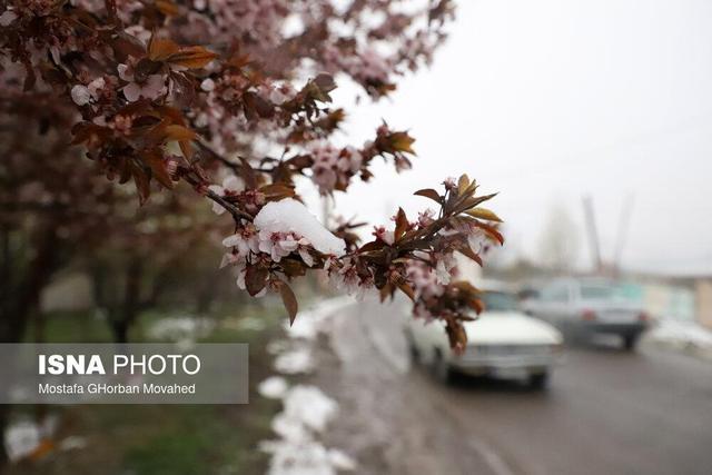 پیشبینی بارش برف و باران در قزوین