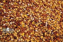 قیمت آجیل ۴ مغز شب چله در میادین و بازار‌های میوه و تره‌بار