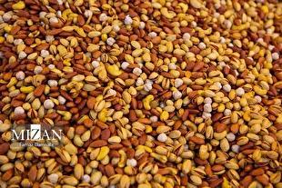 قیمت آجیل ۴ مغز شب چله در میادین و بازارهای میوه و ترهبار