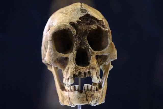 خشکسالی، گرسنگی و مواجهه با انسان خردمند، آخرین فصل زندگی هابیتها را رقم زد