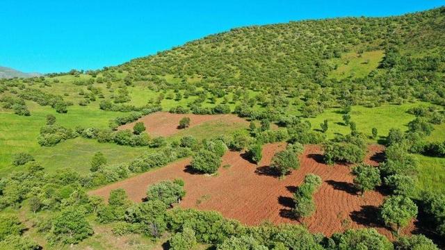 واگذاری اراضی ملی استان بوشهر برای اجرای طرحهای غیرکشاورزی