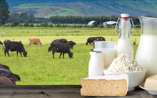 تصمیم‌گیری درباره قیمت لبنیات در هفته جاری