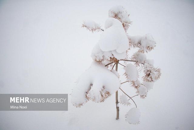 پوشش برفی حوضه‌های آبریز آذربایجان غربی به ۱۰!هزار کیلومتر مربع رسید