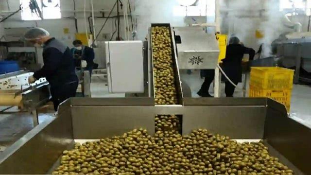 فرماندار رودسر: هفت هکتار زمین این شهرستان به احداث صنایع تبدیلی اختصاص یافت