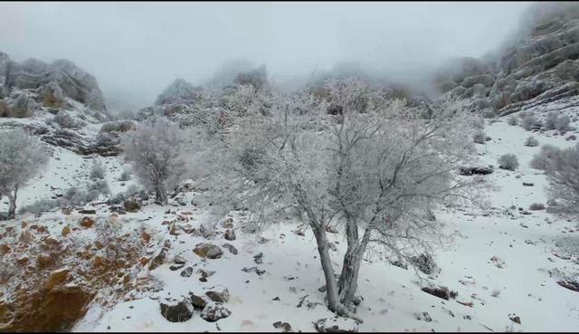 اندیکا | تصاویر هوایی بارش نخستین برف پاییزی در منطقه تاراز
