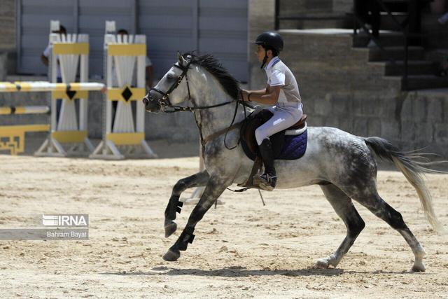 اعلام آمادگی سوارکاری خوزستان برای راه‌اندازی مرکز قرنطینه اسب در اهواز
